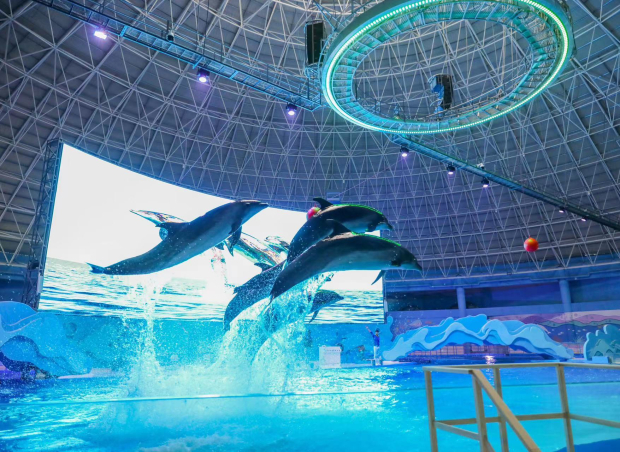 欧乐堡海洋极地世界 (3).jpg 欧乐堡海洋极地世界 (3).jpg