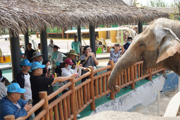 九顶山野生动物园 (2) (2).jpg 九顶山野生动物园 (2) (2).jpg