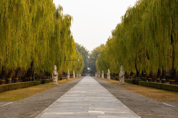 image007 (2).jpg image007 (2).jpg